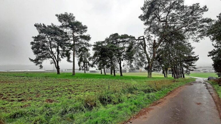 Bahn frei für die Erneuerbaren in Goßfelden!